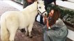 Iulia Vantur SPOTTED KISSING Horse at Salman’s Panvel farmhouse
