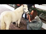 Iulia Vantur SPOTTED KISSING Horse at Salman’s Panvel farmhouse