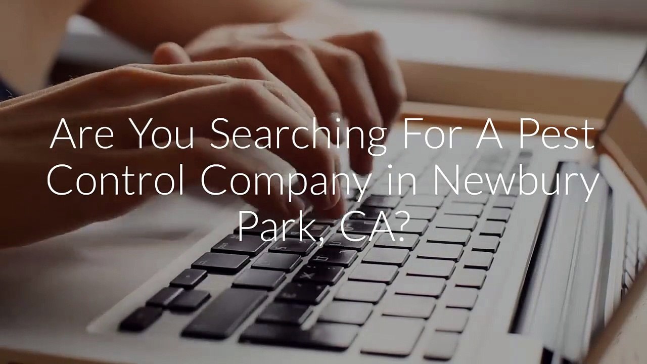 Insight Pest Control Management in Newbury Park, CA