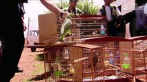 Amazonia: The price of life (full documentary)