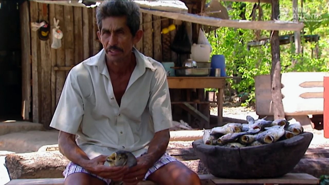 Amazonia: The price of life (part 5/5)