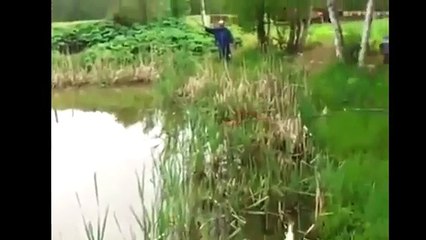Best Cats Fishing Fails | Cats Try To Catch Fish Compilation