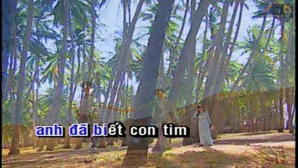 Tình Thôi Xót Xa - Tô Chấn Vũ