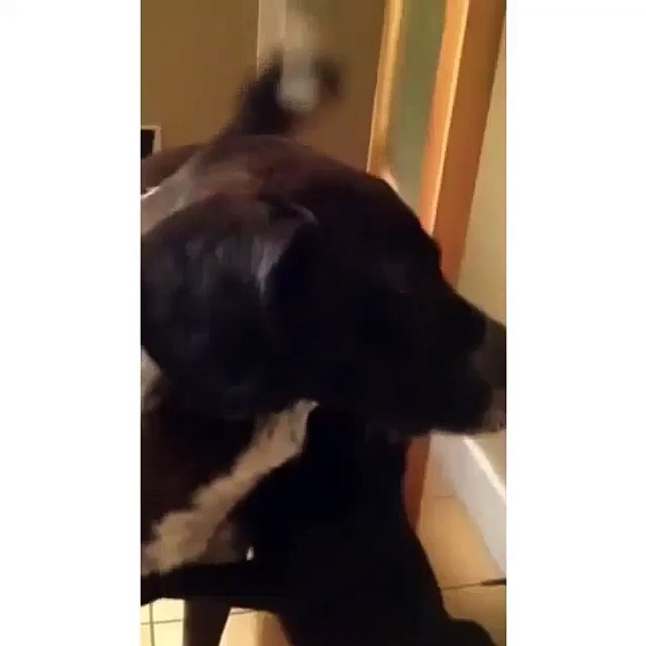 When you haven’t seen your sibling in so long but your sibling don’t miss you