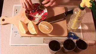 Как посадить лимон из косточки в домашних условиях
