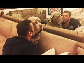 Salman Khan's 'Unconditional' LOVE For His DOG!