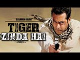 Tiger Zinda Hai | Salman Khan In Ek Tha Tiger Sequel | Confirmed