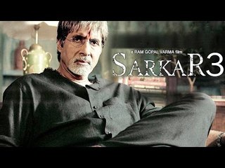 REVEALED ! Amitabh Bachchan's ROLE In SARKAR 3