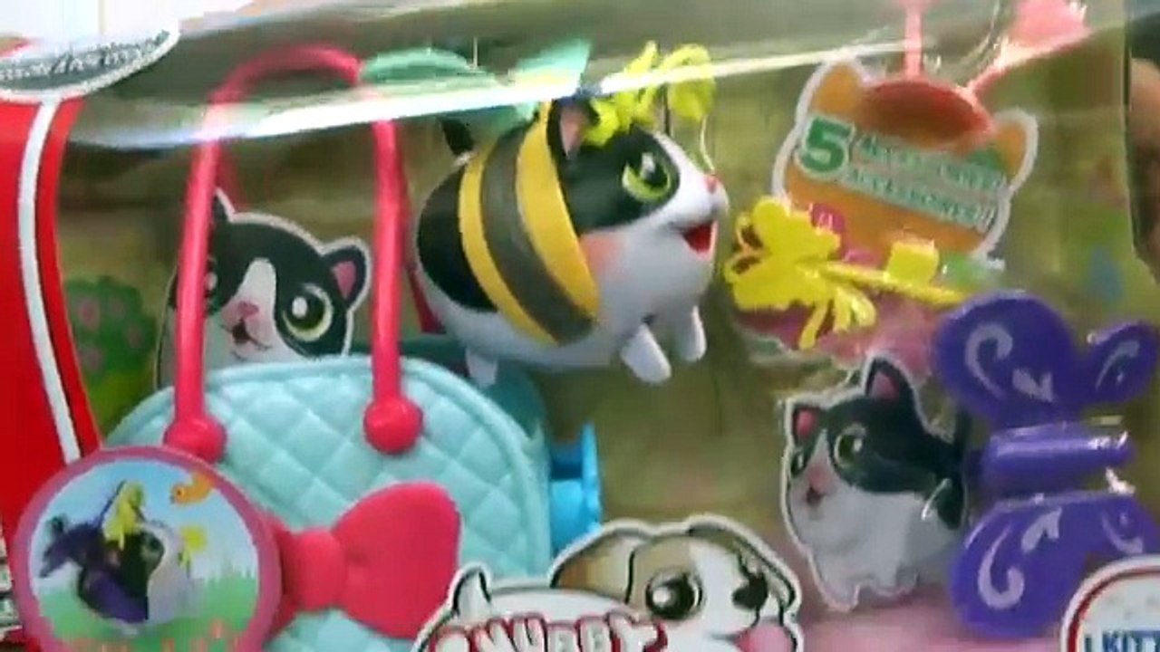 NEW CHUBBY BUNNYS & CATS New Friend of Chubby Puppies