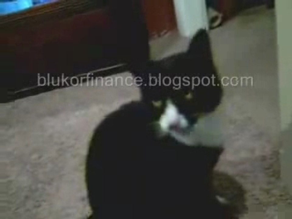 Video304