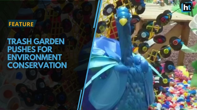 Plastic garden in Mexico pushes for conservation