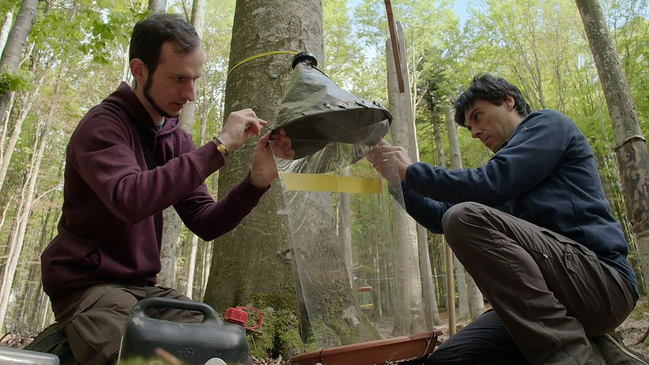 Der Böhmerwald (Teil 2)