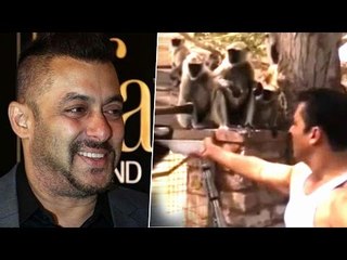 Salman Khan Plays With Monkeys Before Shoot