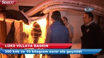 Beylikdüzü’nde lüks bir villada 300 kök esrar ele geçirildi