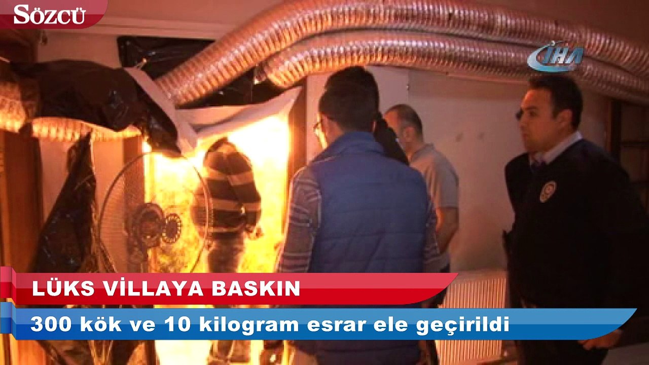 Beylikdüzü’nde lüks bir villada 300 kök esrar ele geçirildi