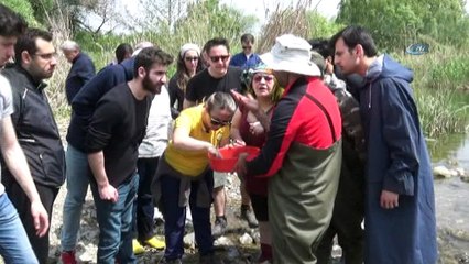 İznik gölü tehdit altında