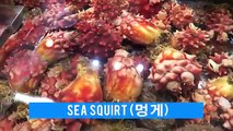 Fresh Fish Market in Busan, South Korea