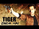After Tubelight, Tiger Zinda Hai Will Be Salman's Next Movie | Bollywood News