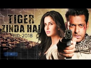 Salman Khan & Katrina Kaif Reunite For Tiger Zinda Hai?