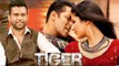 Salman Khan's TIGER ZINDA HAI Plan REVEALED By Director Ali Abbas