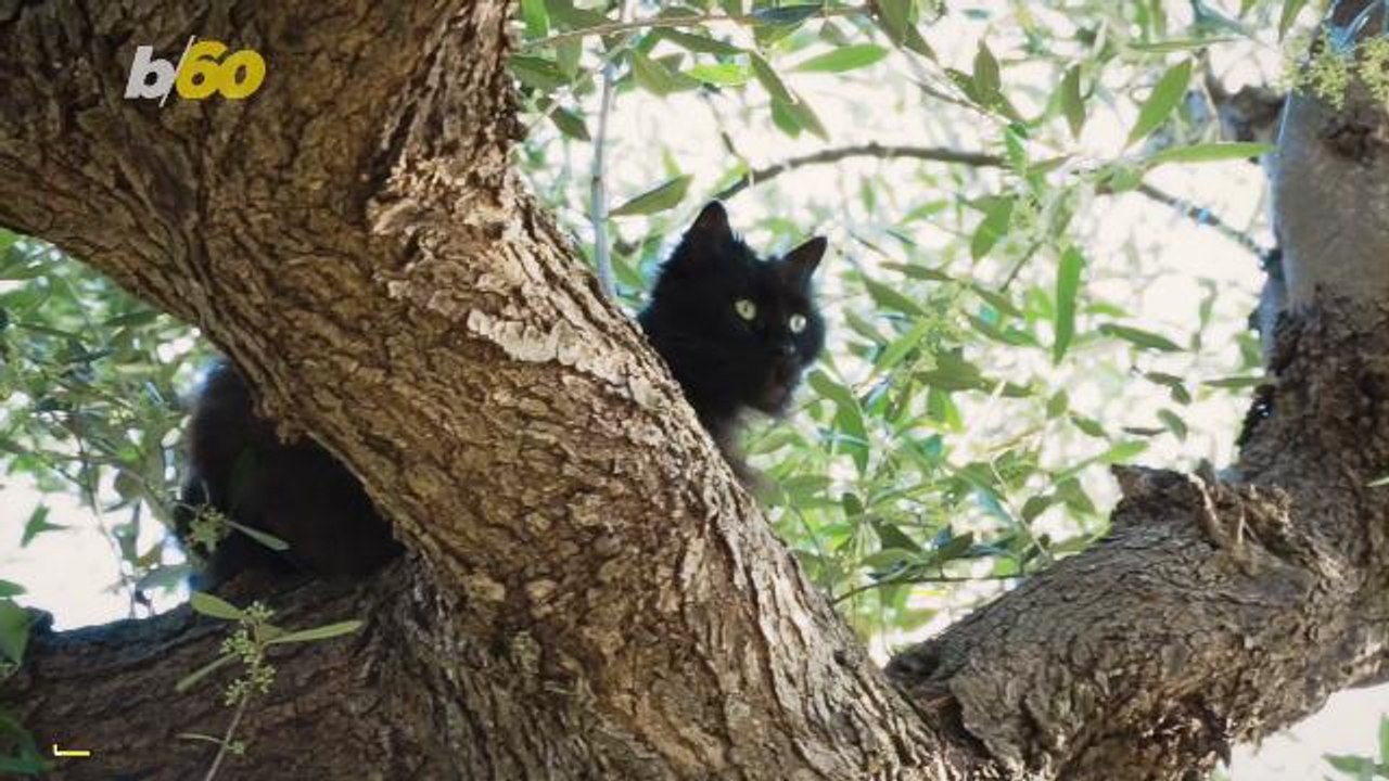 These Are The Superstitions That You Still Believe In