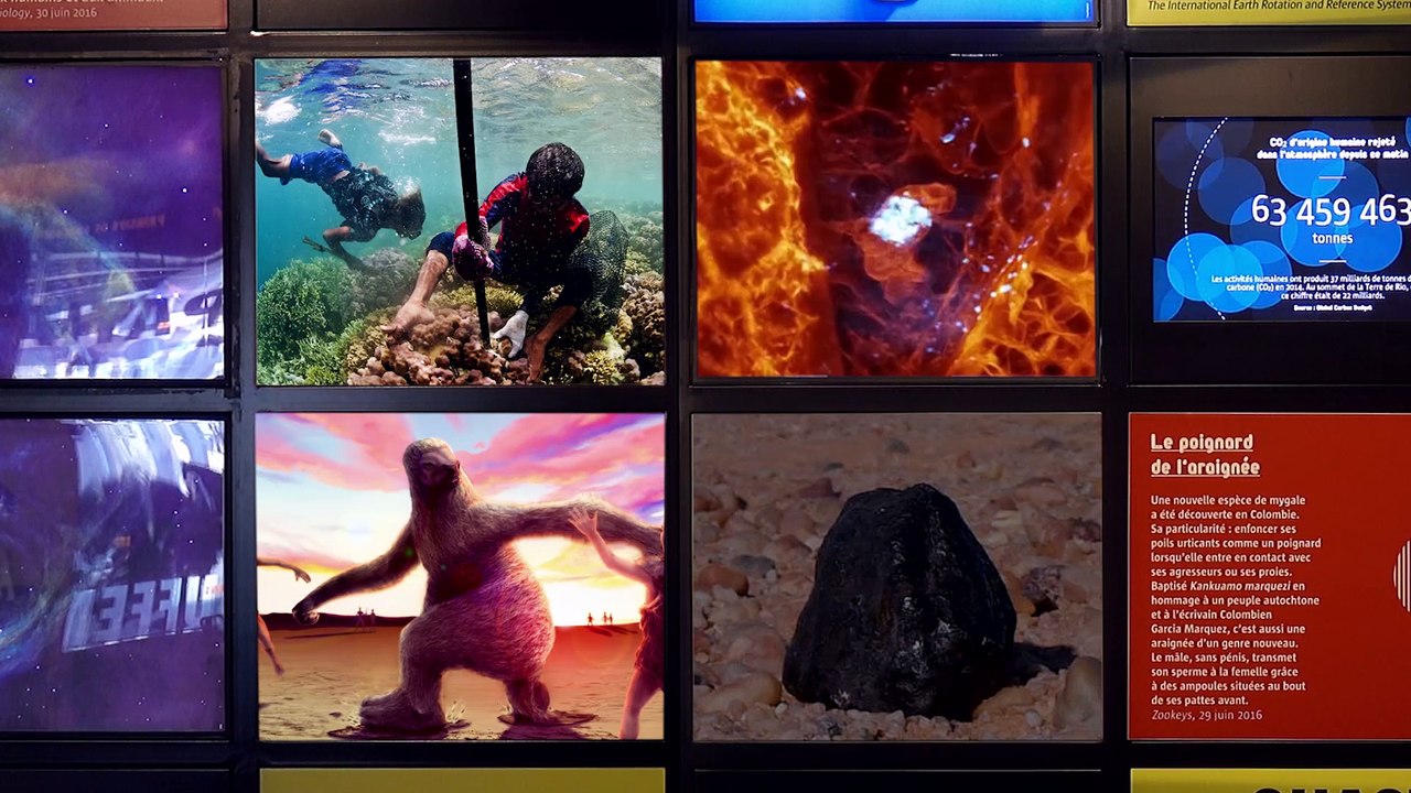 Des plongeurs d'exception