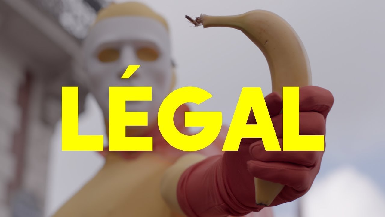 SEIN - LÉGAL
