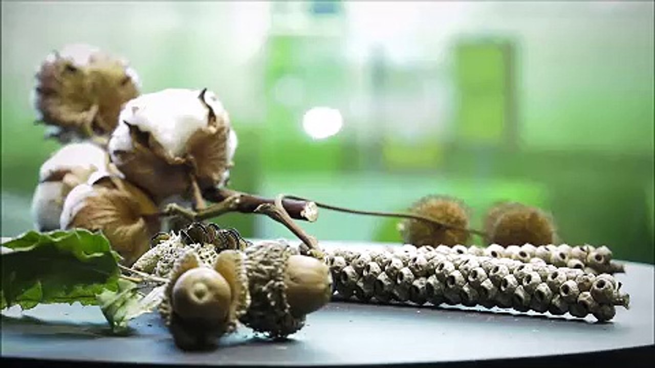 Nouvelle exposition au Museum