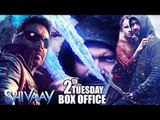 Ajay Devgn's SHIVAAY Earns STEADILY | 2nd Tuesday Box Office Collections