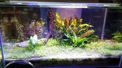 A New Year, A Fresh Start.