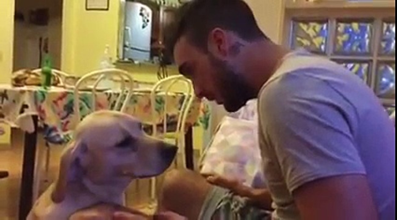 Dog apologizes for doing a bad thing