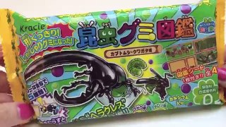 Kracie Beetle: insects shaped candy - Japanese Candy