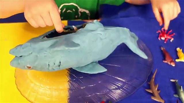 Морские Животные для Детей с Фиксиками Симка и Нолик Детям про животных Видео для детей Lion Boy