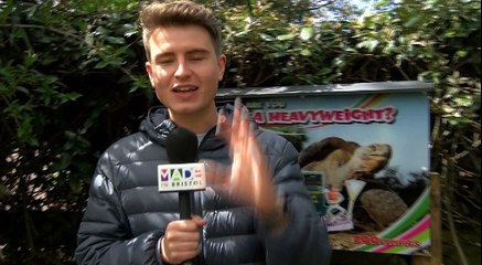 Recent studies reveal people only have 5 true friends