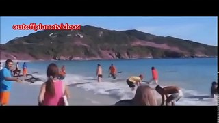 World Most Shocking Video That Made The Whole World Cry فديو ابكى الملايين