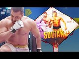 SULTAN Salman Khan's Kites Flying High On This MakarSankranti 2017