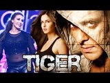 Salman Khan To Shoot Tiger Zinda Hai At Minus, Iulia Vantur’s Ready For Bollywood