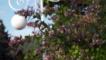 Postcard - MXGP of RUSSIA 2018