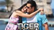 Salman Khan & Katrina Kaif To Start Shooting For Tiger Zinda Hai From March 15