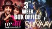 Shivaay V/s Ae Dil Hai Mushkil 3rd WEEKEND BOX OFFICE Collection | SHIVAAY On TOP