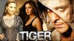 Salman & Katrina  To Start Shooting For Tiger Zinda Hai, Salman's GIRLFRIEND Iulia FIRST RAMP WALK