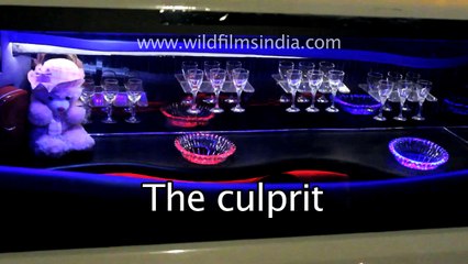 Broken-down Limousine ruins groom's wedding ride in India