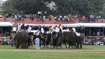 Players fight for the ball during Elephant Polo match,  Jaipur