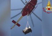 Horse Airlifted to Safety in Italy