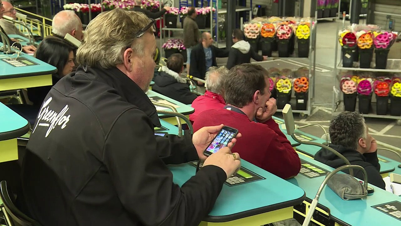 A Hyeres, la pivoine locale s'impose face à la rose industrielle