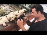 VIDEO - Akshay Kumar’s New Workout Mantra With His Little Pugs