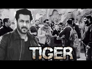 Salman Khan's WARP UPS Tiger Zinda Hai Austria Shoot On 31st March !
