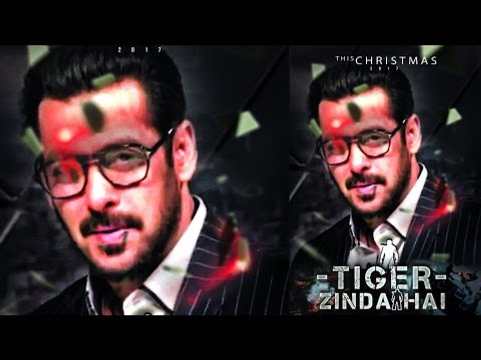 Salman's TIGER ZINDA HAI Poster - FAN MADE Goes Viral