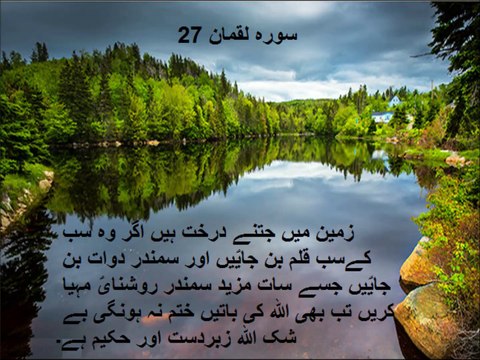 Class 3 English Lesson 24, Verbs in urdu