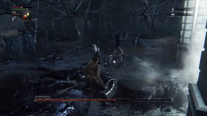 你也可以 Bloodborne The Old Hunters Edition LV4無用廢材不升等之旅